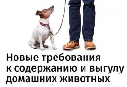 требования.jpg