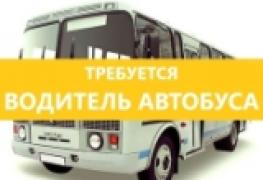 автобус водитель.jpg