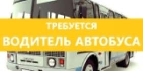 автобус водитель.jpg