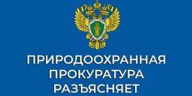 природоохранная прокуратура.jpg