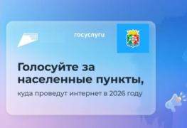 Госуслуги голос интернету.jpg