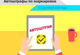 avtoshtrafy-po-markirovke.jpg